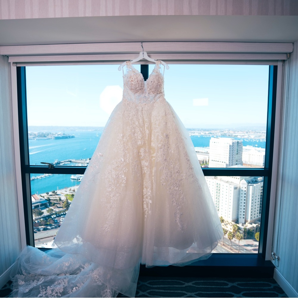 Demetrios wedding gown.